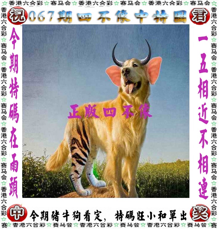 四不像中特图